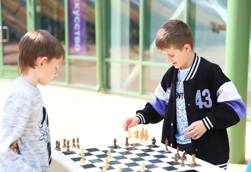 Игровые виды спорта. Шахматы.