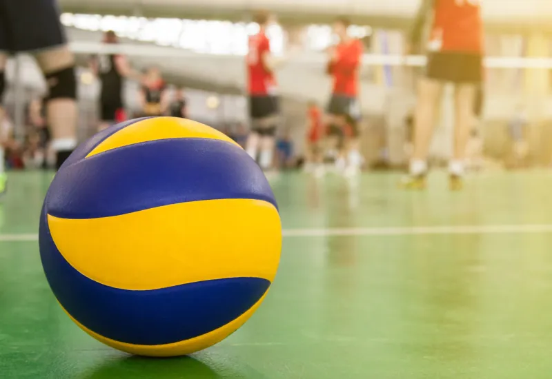 Игровые виды спорта. Волейбол.