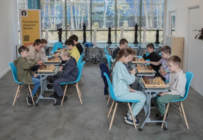 Шахматный клуб «Феникс». Базовый и продвинутый уровни