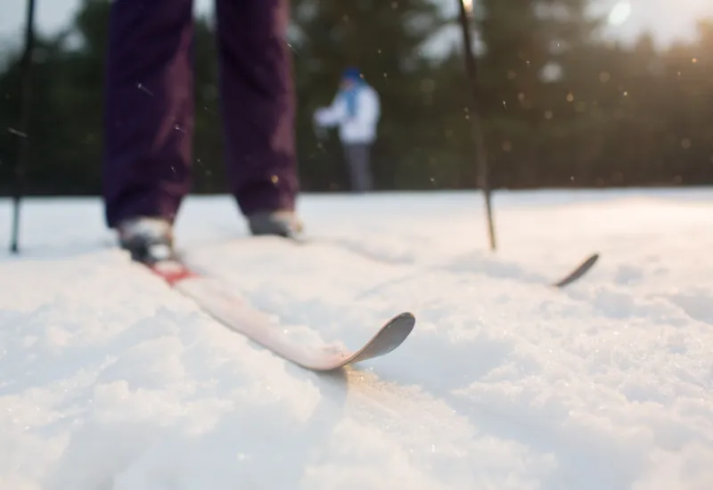 Региональное Первенство по спортивному ориентированию на лыжах