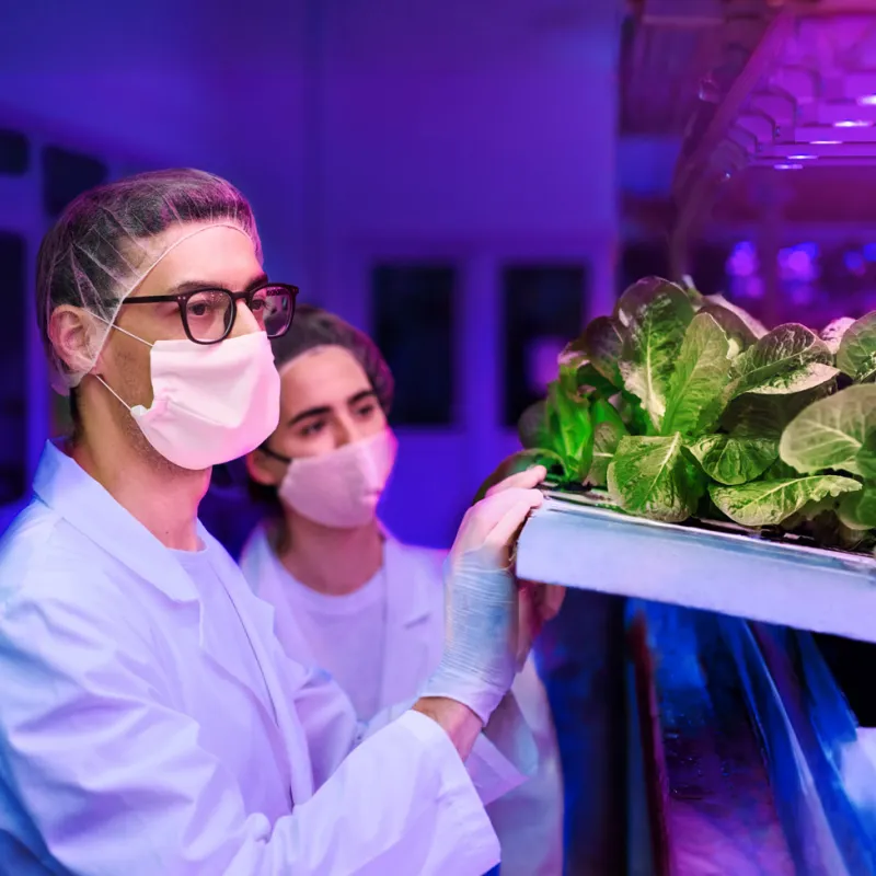 Неделя агротехнологий с «Вегой»!